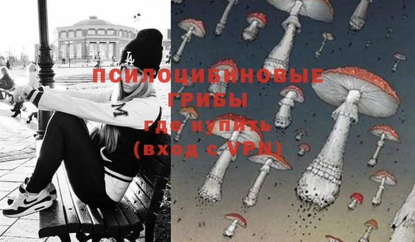 mdma Бородино