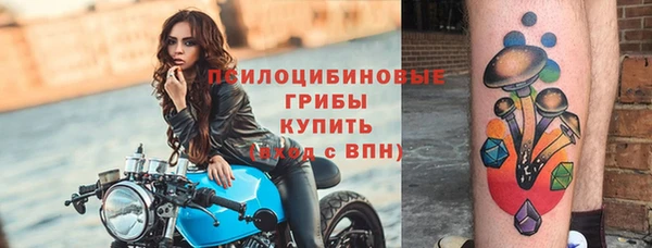трава Богданович