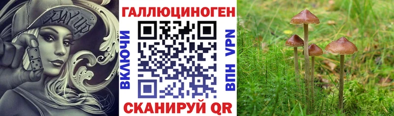 Купить  Нерехта  Галлюциногенные грибы мухоморы 